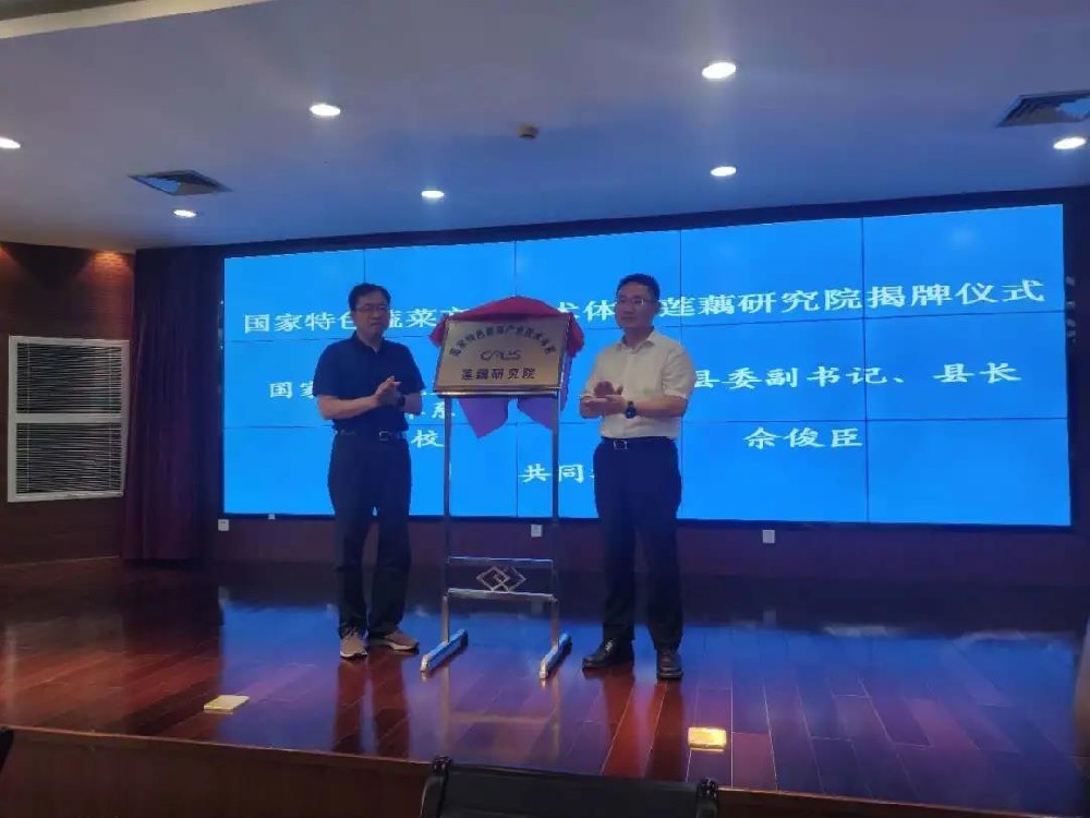 CA88(中国)唯一官方网站入口